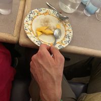 mango sticky rice 🍚   at Red Curry Vegan Kitchen in Flagstaff