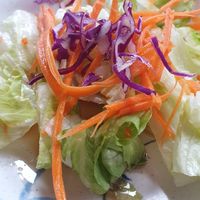 Free side salad with all mains  at Red Curry Vegan Kitchen in Flagstaff