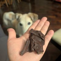 Mango covered with dark chocolate at Zahu's Chocolates in Nairobi