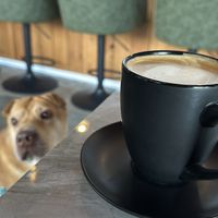 Black truffle latte   at MangiaFoglie  in Long Beach