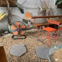 Fan!  at O Plant-based - Thu Duc - Tiệm thuần chay O in Ho Chi Minh City