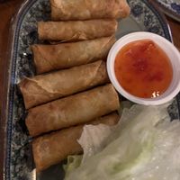 Vegetarian spring rolls   at Malay Malay Haymarket in Haymarket