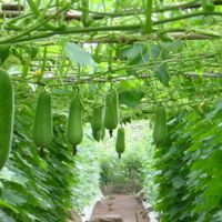  at Jack Glockenbach in Munich