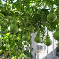  at Jack Glockenbach in Munich