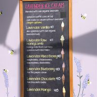 Ask which can be vegan - from memory I think both blueberry and mixed berry can be made 100% vegan. Honeycomb is an option for those who eat bee products.  at NZ Alpine Lavender in Twizel