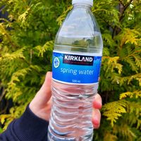 Bottled Water. at Bel's Vegan Bakes - Pop-Up in Bangor