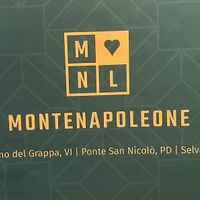 Logo  at Montenapoleone Caselle in Selvazzano Dentro
