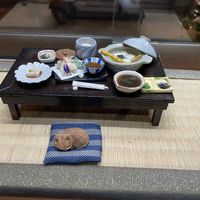   at Yudofu Takemura in Kyoto