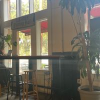   at The Sentient Bean in Savannah