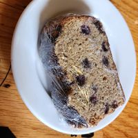  at The Sentient Bean in Savannah