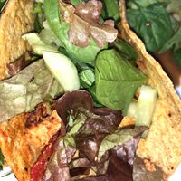 BBQ Tofu Tacos at The Sentient Bean in Savannah