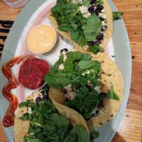 Vegan Breakfast Tacos at The Sentient Bean in Savannah