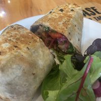   at The Sentient Bean in Savannah