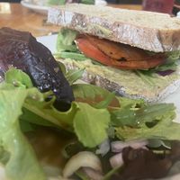   at The Sentient Bean in Savannah