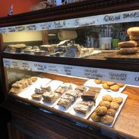 Look at all those vegan options! at The Sentient Bean in Savannah