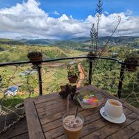  at Midori Coffee Farm in Lam Dong