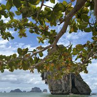 Forgot to take a picture of the lunch somehow, but this is where we ate it...  at D'oasis Cafe' at Railay Beach in Krabi