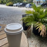 Oat flat white   at Kaffeine  in Cedar Grove