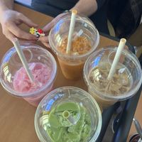   at Cat House Chiangmai in Kingston