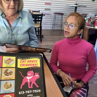   at Cat House Chiangmai in Kingston