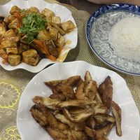   at H&H Vegetarian Food & Pizza in Vang Vieng