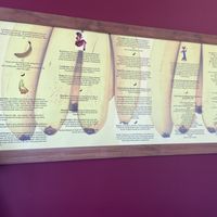   at Blissful Banana Cafe in Orland Park