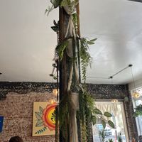   at Higher Taste Plant Based in Long Beach