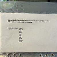 cat names  at Kattencafé Stripe in Dordrecht