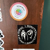   at El Bajón Vegano in Playa Del Carmen