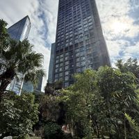 The garden.  at Wàn Xiàng Vegetarian - 脉象素食 in Shenzhen