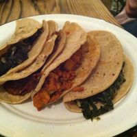 all the tacos at Cate de mi Corazon in Mexico City