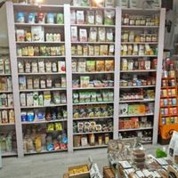 Veggie Room at Veggie Room in Madrid