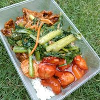 Two mock and one veg at Compassion Vegetarian Cuisine 慈悅素 in Central Singapore