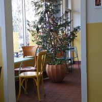 Holiday display at Farmer and The Cook Cafe in Ojai