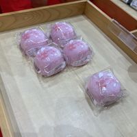 Mochi   at Nagomi no Yoneya - Lidacho in Narita