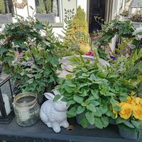  at Petersilchen in Xanten