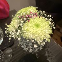   at Petersilchen in Xanten