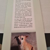 The name mimi comes from... at Mimì  in Lissone