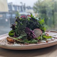 Kimchi pancake at Little Bird Kitchen in Auckland