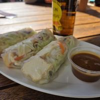 Spring roll at Miss Saigon in Christchurch