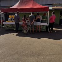 Vending with pamonha and curau vegan   at Maravilhas do Milho in Sorocaba