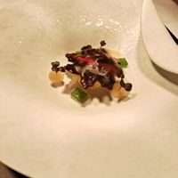 Spitzkohl, Mist, Champions at Sevidian in Hennef