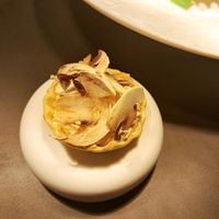 Spitzkohl, Mist, Champions at Sevidian in Hennef