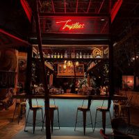 Vibes at Trujillos Cantina De Selva in Playa Del Carmen