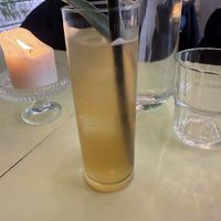Kombucha  at LAS in Lodz