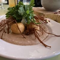 The bristling mouse  at LAS in Lodz