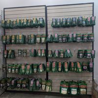 Seeds, nuts, and plant powders at Healthy U  in Kampala