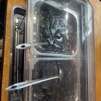   at Thien Y in Ho Chi Minh City