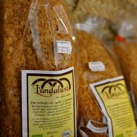 Organic whole wheat bread at Cafe 4 Gatos in Granada