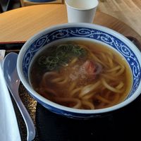 Udon at Oedo Udon Sakura - 大江戸うどん さくら in Tokyo